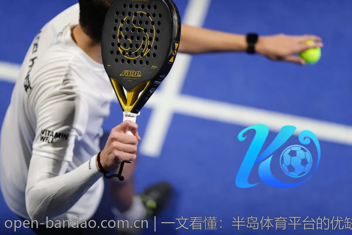 一文看懂：半岛体育平台的优缺点分析