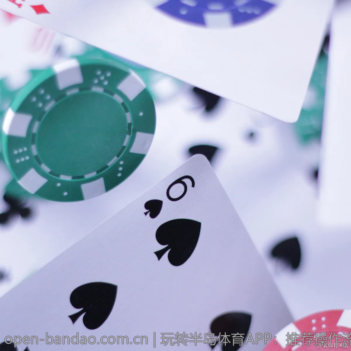 玩转半岛体育APP：推荐操作流程与使用体验