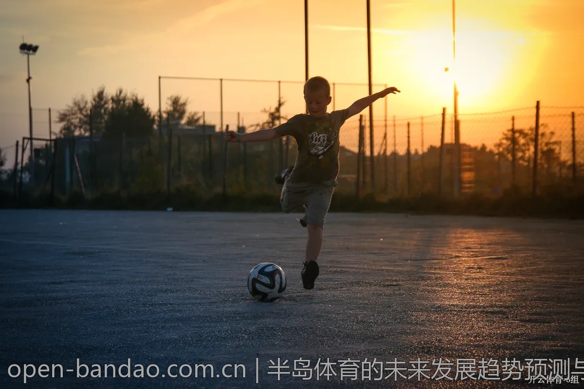 半岛体育的未来发展趋势预测与分析