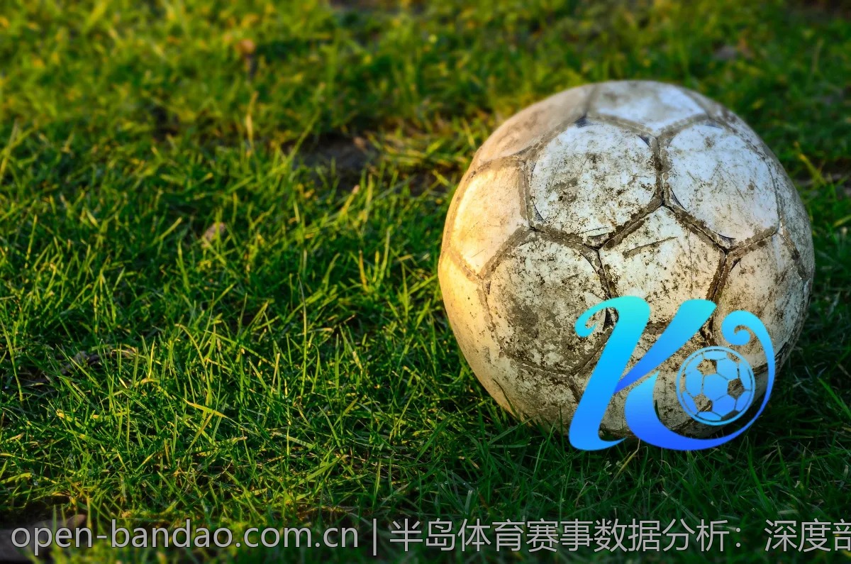 半岛体育赛事数据分析：深度剖析背后的内幕
