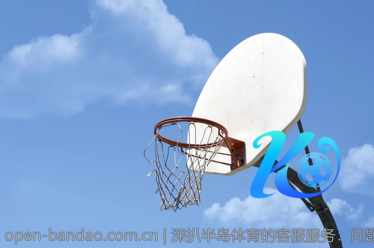 深扒半岛体育的客服服务：问题解决效率如何？