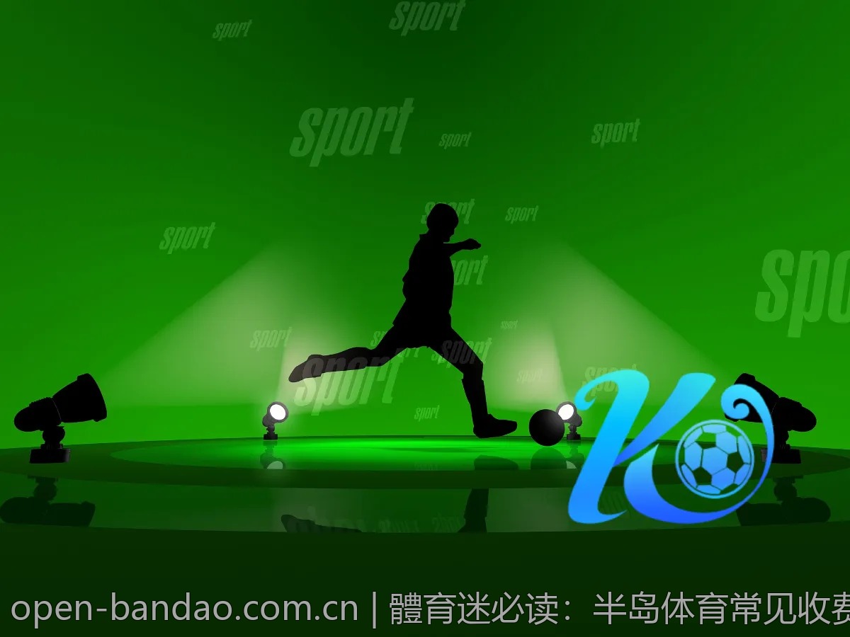 體育迷必读：半岛体育常见收费项目揭秘