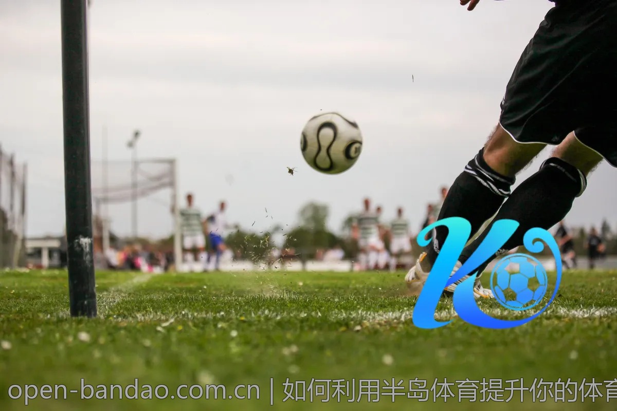 如何利用半岛体育提升你的体育分析能力？