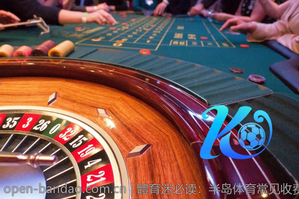 體育迷必读：半岛体育常见收费项目揭秘